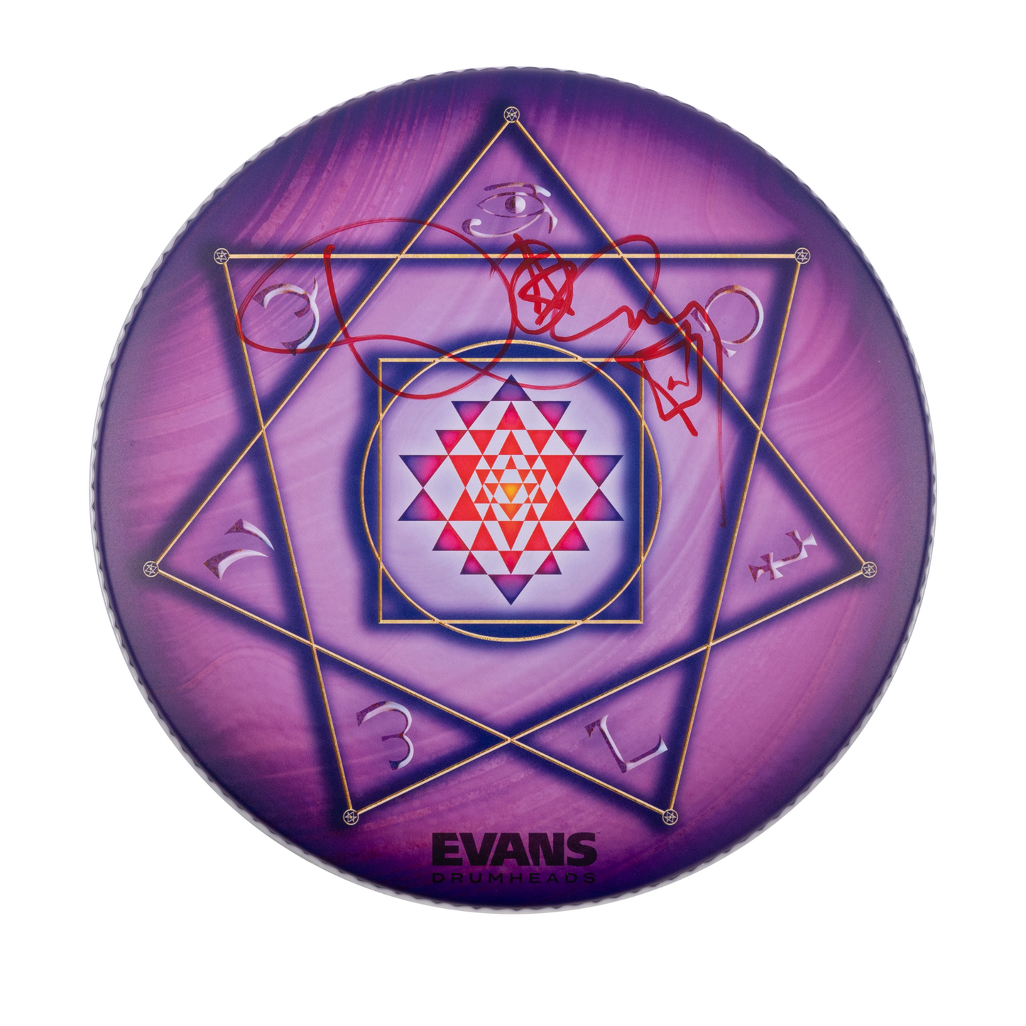 Signed Purple Drumhead