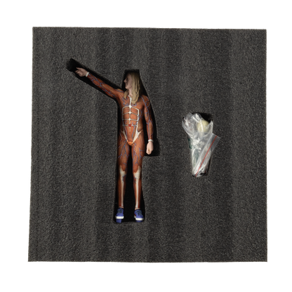 Danny Carey x KnuckleBonz - Muscle Statue (Signed)